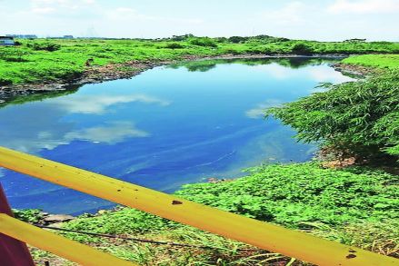 शहरबात : प्रदूषणाने वसईकरांची घुसमट