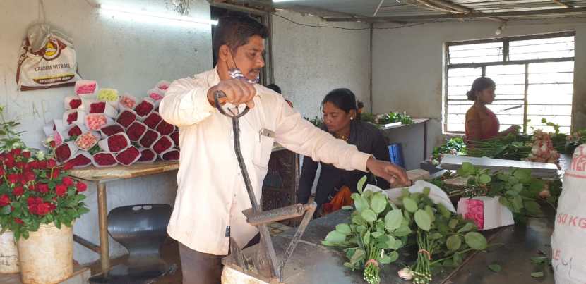 त्यामुळे यावर्षीचा व्हेंलनटाईन डे गुलाब उत्पादकांसाठी विशेष ठरतोय.