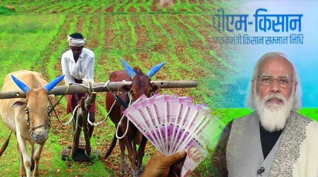 पीएम किसान सन्मान योजनेसंदर्भात शिबिराचे आयोजन