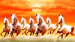 वास्तुशास्त्रानुसार घरात ७ घोड्यांचे चित्र लावल्याने उजळेल भाग्य, जाणून घ्या फायदे आणि योग्य दिशा