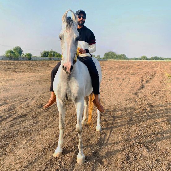 IPL 2022 CSK Ravindra Jadeja Bungalow Photos