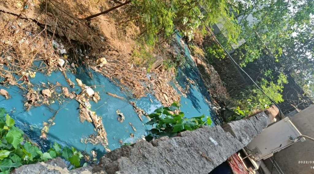 डोंबिवली एमआयडीसीतील नाल्यामध्ये हिरव्या रंगाचे पाणी
