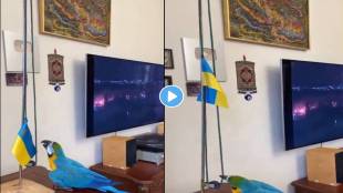 Parrot-Hoists-Ukraine-flag