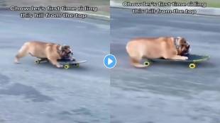 Dog-Viral-Video