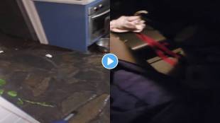 snake-video