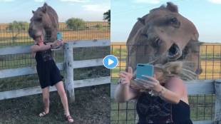 Camel-Video-Viral