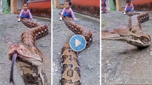 Python and Kid Video
