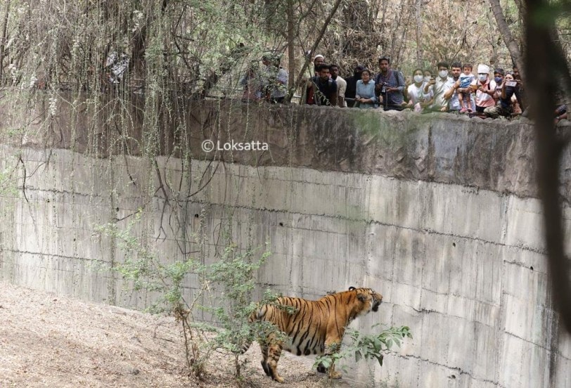 Rajiv Gandhi Zoological Park Pune Photos