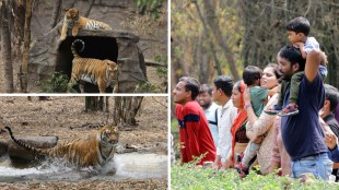 Rajiv Gandhi Zoological Park Pune Photos