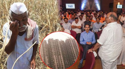 Thackeray Government Thackeray Government