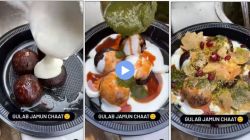 Viral Video : ‘हे आता अतिच होतंय…’ गुलाबजाम चाटचा व्हिडीओ पाहून नेटकऱ्यांना राग अनावर