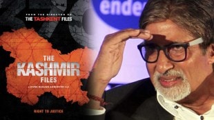 amitabh bachchan, the kashmir files,