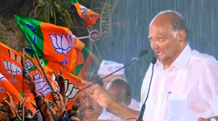 bjp mocks ncp sharad pawar