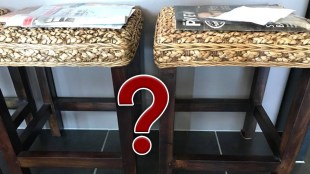 can you spot the snake, viral photo,