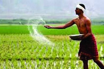 farmer-3