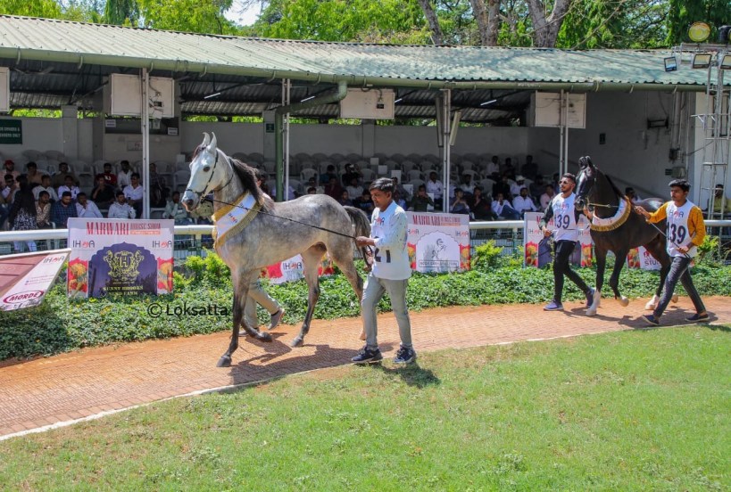 Marwadi Horse Show organised by Indigenous Horse Owners Association At Race course Pune