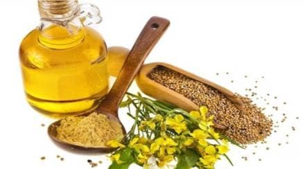 mustard-oil-1 mustard-oil-1