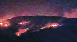 पहिने डोंगरावरील वणव्यात २५ हेक्टर जंगल खाक