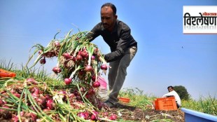 onion farmer