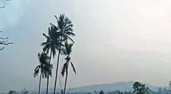 рд╣рд╡рд╛рдорд╛рди рдмрджрд▓рд╛рдореБрд│реЗ рдмрд╛рдЧрд╛рдпрддрджрд╛рд░рд╛рдВрдирд╛ рдЪрд┐рдВрддрд╛