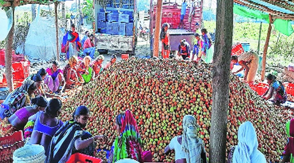 शहरबात : कृषी प्रयोगांचा जिल्हा
