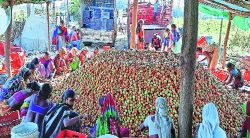 शहरबात : कृषी प्रयोगांचा जिल्हा