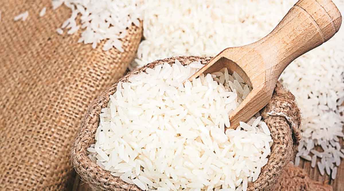 Ukraine Rice Ukraine Russia war hits Vidarbha rice farmer loss problems ysh 95 ...