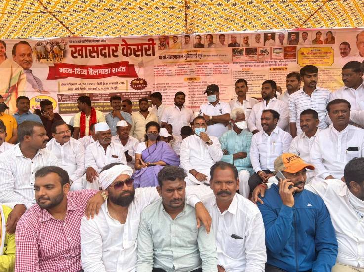 पुण्यात 'खासदार केसरी बैलगाडा शर्यत' आयोजित करण्यात आली होती.