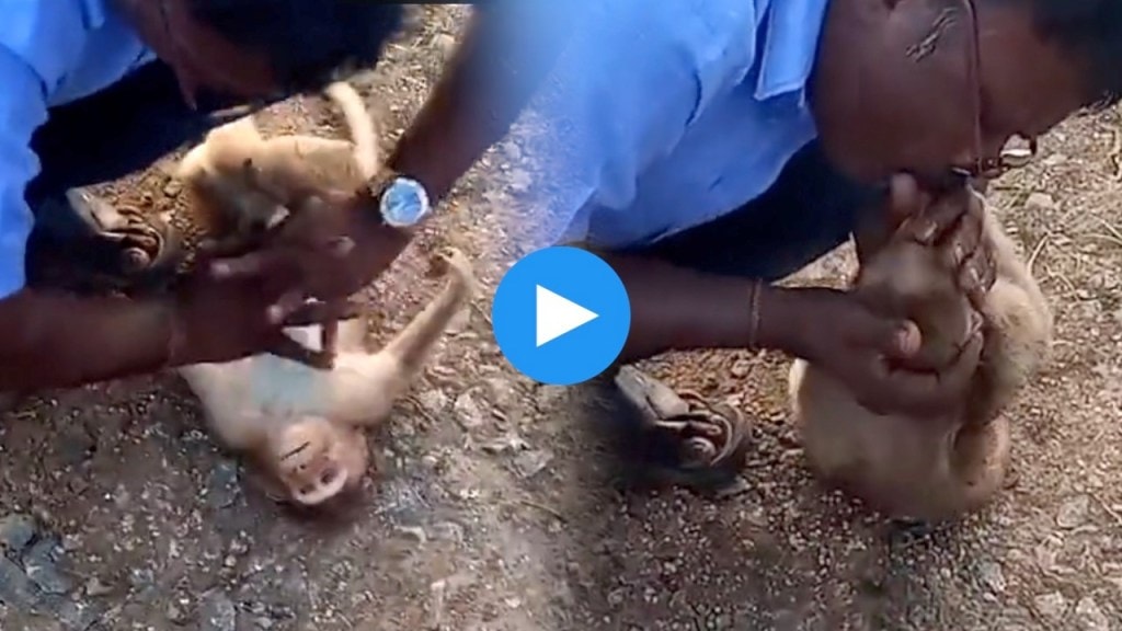 tamilnadu, tamilnadu driver saved monkeys life,