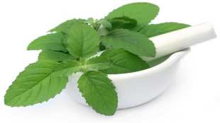 tulsi face pack
