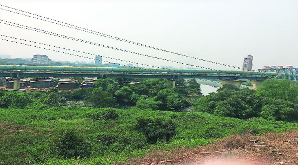 ठाणे खाडीतील खारफुटींवर कुऱ्हाड