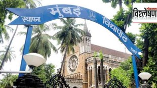 university law