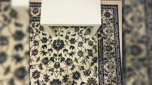 viral puzzle photo