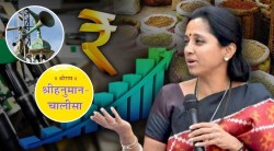हनुमान चालीसा आणि भोंगे यापेक्षाही महागाईचा मुद्दा महत्वाचा – खासदार सुप्रिया सुळे