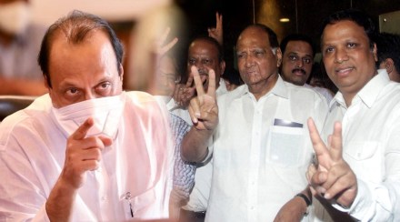 Ashish Shelar sharad pawar Ashish Shelar sharad pawar