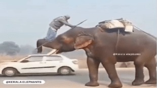 Bahubali