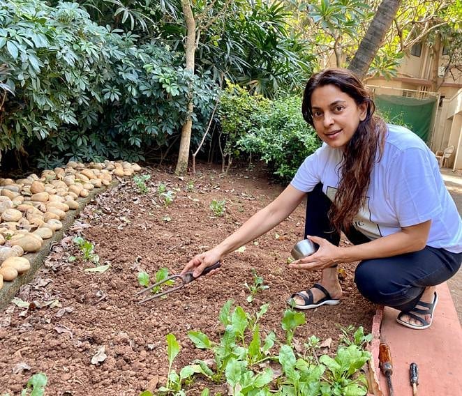 Bollywood Actor Farming