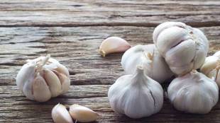 Garlic-Health-Benefits