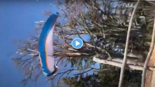 Paragliding-video