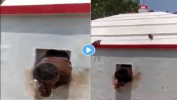 याला म्हणातात Instant Karma ! मंदिराच्या खिडकीतच अडकला चोर, पाहा VIRAL VIDEO