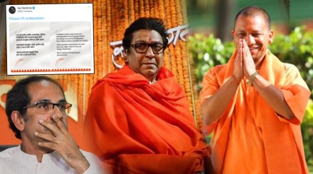 Raj And Yogi