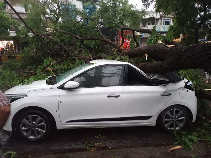 सोसाट्याचा वारा आणि पावसाचा जोर एवढा भयानक होता की रस्त्यावरी झाडं उन्मळून पडल्याने वाहनांचे देखील नुकसान झाल्याचे दिसून आले.