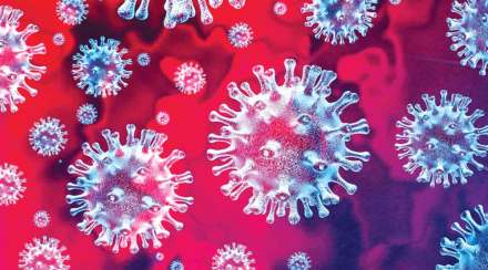 coronavirus coronavirus