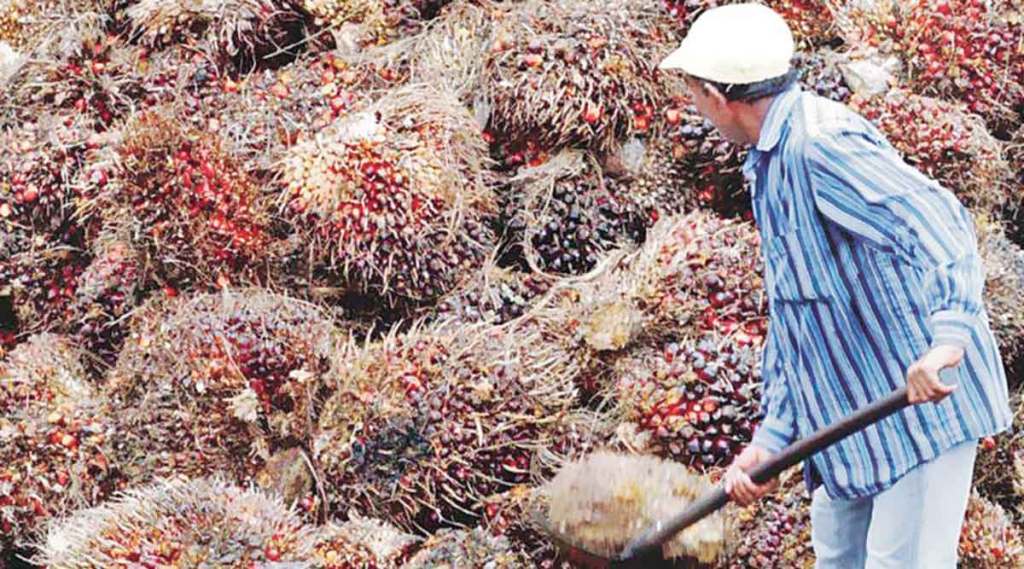 अन्वयार्थ : पामटंचाईचे आव्हान