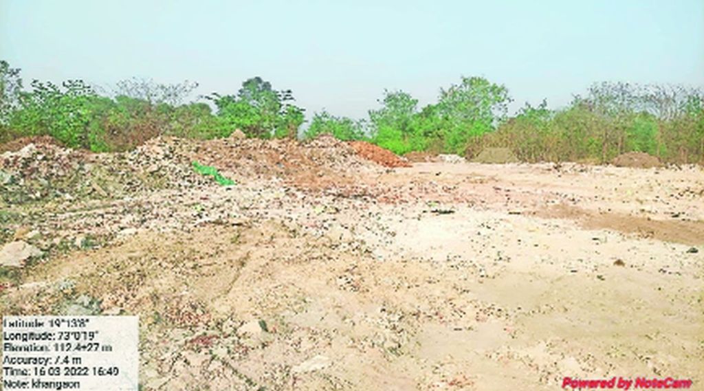 खारफुटीला उदासीनतेची झळ
