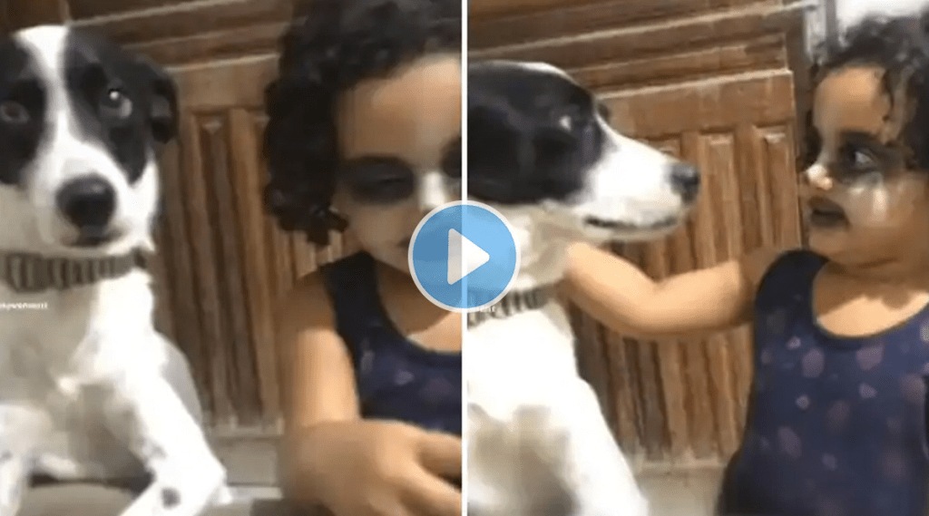look_like_Dog