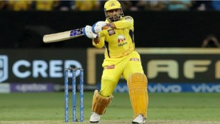 ms-dhoni