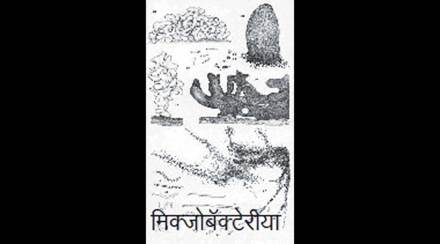 कुतूहल : सूक्ष्मजीवांचे स्थापत्य विज्ञान