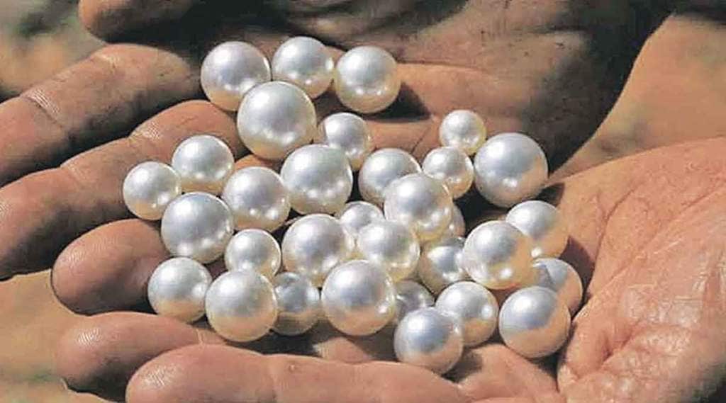भाषासूत्र : वाक्प्रचारांमधील अलंकरण