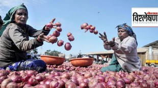 onion price